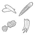 Okra Vector Illustration Hand Drawn Vegetable Cartoon Art