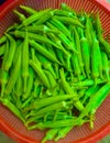 okra is a vegetable used for cooking. Thai food has no taste but smells of vegetables.