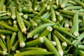 Okras Royalty Free Stock Photo