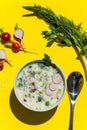 Okroshka,a cold summer soup of fresh vegetables,meat and yogurt. Royalty Free Stock Photo
