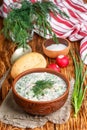 Okroshka. Summer light cold yogurt soup with cucumber, radish, eggs and dill Royalty Free Stock Photo