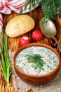 Okroshka. Summer light cold yogurt soup with cucumber, radish, eggs and dill Royalty Free Stock Photo