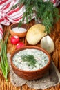 Okroshka. Summer light cold yogurt soup with cucumber, radish, eggs and dill Royalty Free Stock Photo