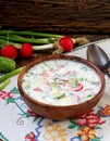 Okroshka. traditional Russian cold soup Royalty Free Stock Photo