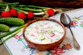 Okroshka. traditional Russian cold soup Royalty Free Stock Photo