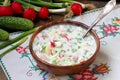 Okroshka. traditional Russian cold soup Royalty Free Stock Photo