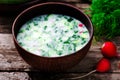 Okroshka, traditional Russian cold soup Royalty Free Stock Photo