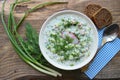 Okroshka is a traditional Russian summer cold soup Royalty Free Stock Photo