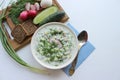 Okroshka is a traditional Russian summer cold soup Royalty Free Stock Photo