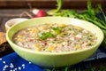 Okroshka. Traditional Russian summer cold soup with sausage, vegetables and kvass in bowl on wooden background. Royalty Free Stock Photo