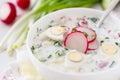 Okroshka - traditional summer cold soup Royalty Free Stock Photo