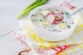 Okroshka - traditional summer cold soup Royalty Free Stock Photo