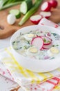 Okroshka - traditional summer cold soup Royalty Free Stock Photo