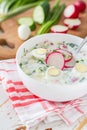 Okroshka - traditional summer cold soup Royalty Free Stock Photo