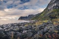 Okshornan, Bull Horns range in Senja, Norway Royalty Free Stock Photo