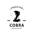 cobra logo vector outline silhouette art icon Royalty Free Stock Photo