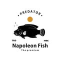 napoleon fish logo vector outline silhouette art Royalty Free Stock Photo