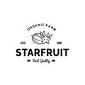 vintage monoline starfruit logo illustration suitable for fruit shop and farm