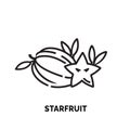 lineart starfruit logo illustration suitable for fruit shop and farm