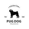 vintage retro hipster pug dog logo vector Royalty Free Stock Photo