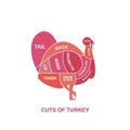 vector illustration guide Meat cuts set. Turkey Butcher Poster Royalty Free Stock Photo