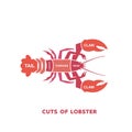 vector illustration guide Meat cuts set. lobster Butcher Poster Royalty Free Stock Photo