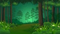 Lush Dense Green tropical Forest nature landscape background