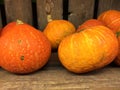 Oktober pumpkin