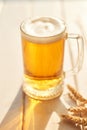 Oktoberfest beer. Glass beer mugs full of golden lager with thick frothy heads conceptual of Oktoberfest. Beer mug. Big glass of Royalty Free Stock Photo