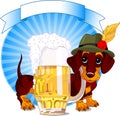 Oktoberfest dog Royalty Free Stock Photo