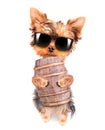 Oktoberfest dog with beer barrel Royalty Free Stock Photo