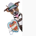 Oktoberfest dog Royalty Free Stock Photo