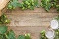 Malt and hops craft beer background with copy space Royalty Free Stock Photo