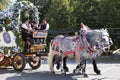 Oktoberfest horses pulling carriage