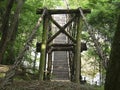 Oku-Iya double vine bridge or Oku-Iya Nijuu Kazura bridge. A suspension bridge made of the plant called Shirakuchikazura.