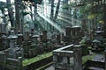 Okunoin Cemetery at Mount Koya