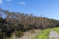 Okura Scenic Reserve trail, North Shore, New Zealand