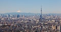 Okyo skytree and mountain fuji