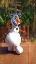 Olaf