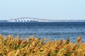 Oland bridge in sweden .