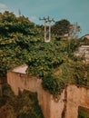 Old abadoned building overgrown with trees