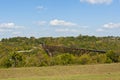 Old abandon railroad bridge in Kentucky, USA