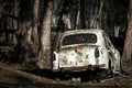 An Old Abandoned Ambassador car in the middle of the forest. Royalty Free Stock Photo