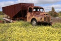 Old abandoned Austin lorry in Western Australia