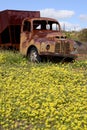 Old abandoned Austin lorry in Western Australia