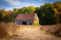 Old abandoned barn in the field autumn  landscape Royalty Free Stock Photo