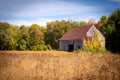 Old abandoned barn in the field autumn  landscape Royalty Free Stock Photo