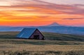 Old abandoned barn in a half ripe wheat field at sunset. Royalty Free Stock Photo