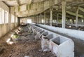 Old abandoned barn, inside view of building Royalty Free Stock Photo