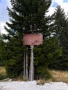 An old abandoned basketball hoop in park, spruce tree as a background